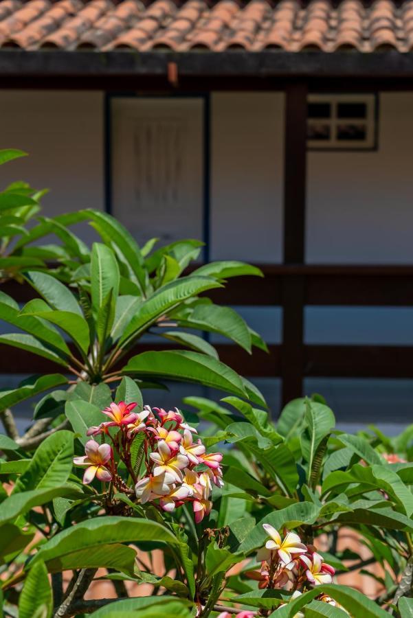 Villa Alexandre Pousada - Trancoso Exteriér fotografie